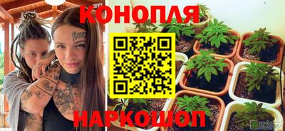 стаф Заводоуковск