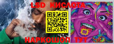 стафф Коломна